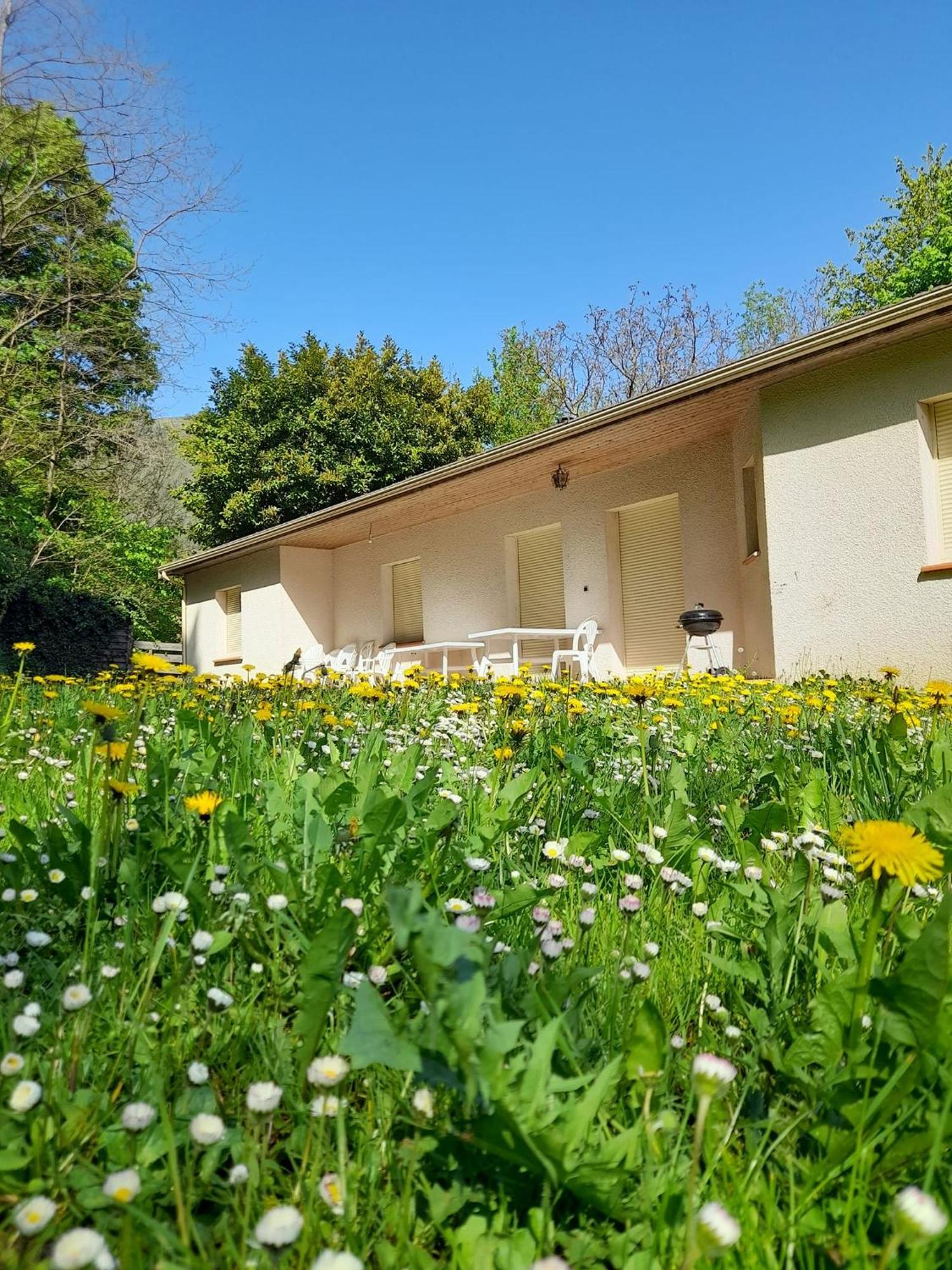 Gites du Quié Les Cabannes  Extérieur photo